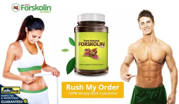 pure forskolin extracts