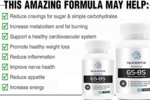 GS-85 Glucose Support Formula